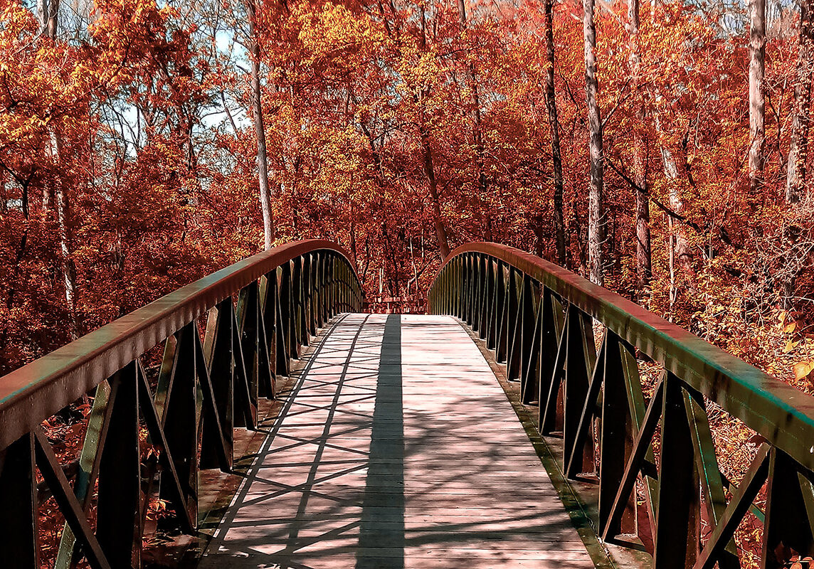 Gahanna Autumn Overpass Woodside Green Park